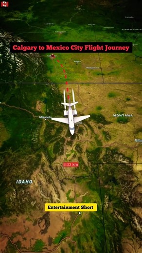 Calgary to Mexico City Flight Journey 🛫🛫 #foryou #flight #journey