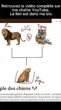 Qu'est-ce qu'une espèce ? 🧬 Définition + exemple