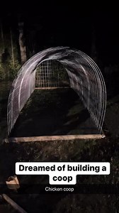 3.7K views · 104 reactions | Step by step building a chicken coop!! #barnyard #raisingchickens #farmlife #chickencoop #DIYInspiration #chickenfarm #diy #coop #homestead #backyardchickens #selfsufficient | Jesus King McCoy | Facebook