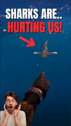 Face to Face with the Most Dangerous Shark in the Ocean! Oceanic White Tip Attack!