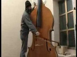 octobass Dattis