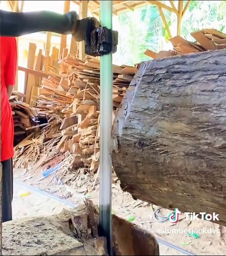 #lumberjackdvc #treework #woodsplitting #woodsaw #wood