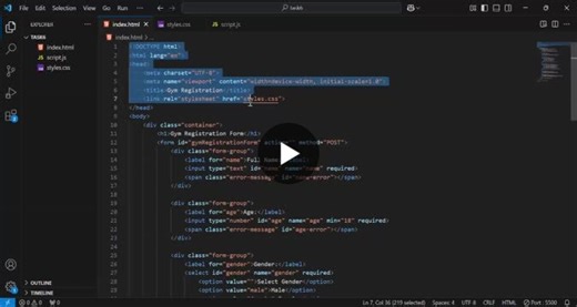 #cognifyz #webdevelopment #formvalidation #frontend #cognifyztechnologies | LN SAINI