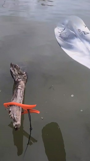 Must-Have Kayak Fishing Gear for Anglers: Brush Gripper Review