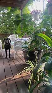 5.1K views · 111 reactions | A little Sunday morning story about Gma’s pink robe  I’m so happy “robe season” has returned  | not-your-average-mom.com | Facebook