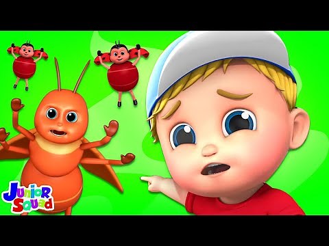 Bugs Bugs Bugs Song, Insects Rhymes and Preschool Videos for Kids