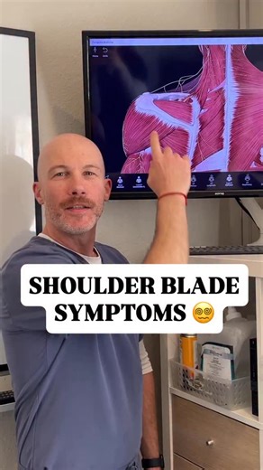 This might be the most common complaint that we see. SYMPTOMS NEAR THE SHOULDER BLADE 🥴 👉 If you feel like you’ve tried almost everything and the chronic pain, tightness and knots are still not going away - you are not alone. This is a very common issue. Most folks have tried a bunch of different treatments going after the muscle knots and what feels like the underlying culprit. ⁉️ But, it keeps coming back. Why? 1️⃣ Symptoms are being referred from the neck (cervical spine) 2️⃣ Nerve entrapme