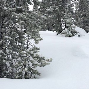 The powder is really stacking up out there! If you can’t get up here tonight, make plans to join us tomorrow for our New Year’s Eve Extravaganza tomorrow! The party will include Skiing and Snowboarding till 2am, Live DJs on both sides, tubing till 11:30pm with Fireworks at Skibowl East at 9pm. Skibowl West will host a Dance party starting at 8pm with Torchlight parade and Fireworks at Midnight! | Mt. Hood Skibowl