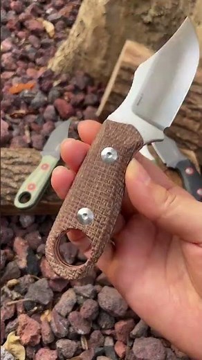 Get your hands on the new Beaver 2 Fixed Blade Clip Point Variant
