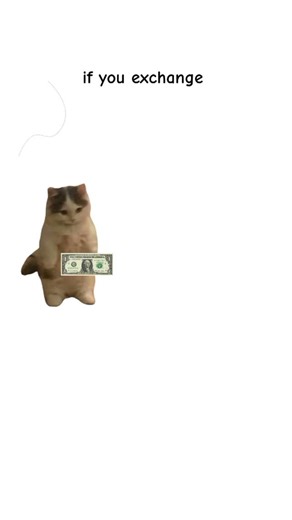 @pdhkittygram | Infinite money glitch #cats #catanimation #explainedbycats #catsofttiktok #fyp | Instagram