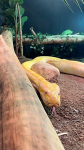 1.6K views · 19 reactions | Crawling toward the weekend with our girl...