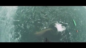 The Fish Of A Lifetime by Freewater Pictures | Thrill On Fishing