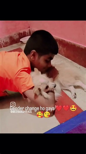 #jimmy#funnyreels#comedyshorts#viralshotsvideos#shortsfeed#viralreels#dogshorts#pets#shorts#funny