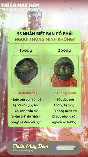 nhạc ngủ ngon , nhạc thiền , nhạc không lời , nhạc remic, nhac bolero lofi