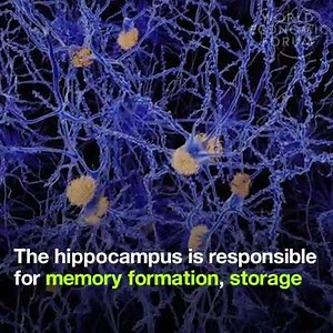 26K views · 380 shares | What happens do your brain when you stop exercising | Anesthesia | Facebook