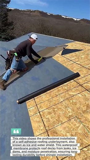 Satisfying Roofing Process | Ice and Water Shield Installation on Plywood Roof