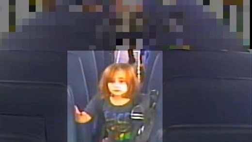 956K views · 216 reactions | FLOOD YOUR FEEDS! This just released video shows Faye Swetlik getting off her school bus on the day she disappeared. Law enforcement wants this video to get out! | WLTX News19 | Facebook