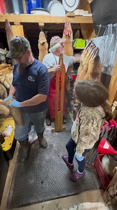 3.8K views · 153 reactions | Wood or metal stretchers. Personal preference for Fur Handling | Fur Life TV | Facebook