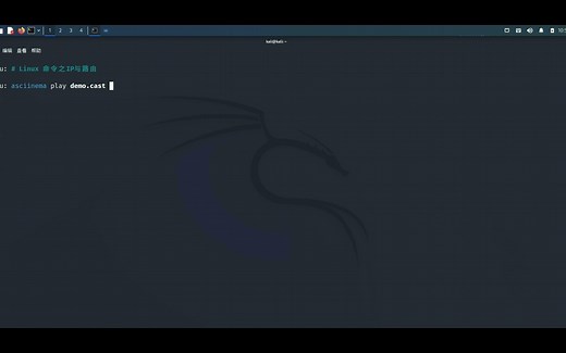 Linux命令之IP与路由