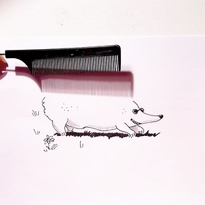 2.9M views · 2.6K reactions | Crafting illusions with everyday objects  | 5-Minute Crafts | Facebook