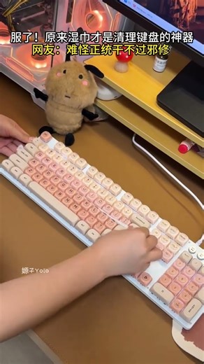 It s so popular Just a wet wipe can clean the keyboard without picking at the keycaps#Keyb