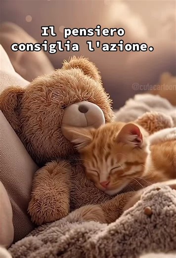 Video di Orsetto (@7orsoo) con suono originale - Emma