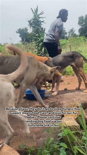 If you can help, please donate through the links in our bio. Every act of kindness counts