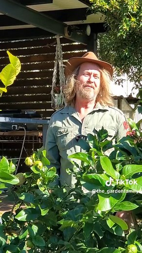 Spring Garden Preparation Tips for a Bloomin’ Season!