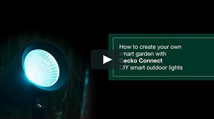 How to setup your Lucci Connect Gecko Smart Lighting