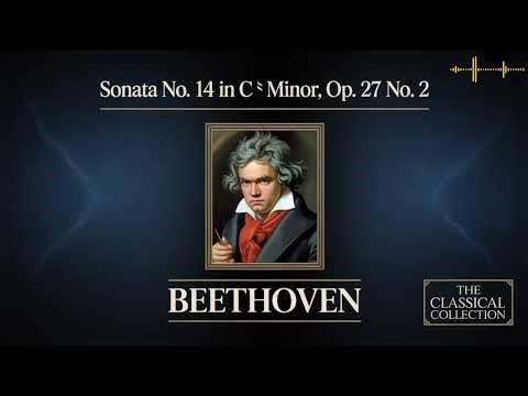 Timeless Classical Masterpieces