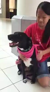 40K views · 5.5K reactions | I THINK I AM GONNA PREACH TIL I PASS...