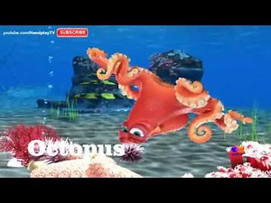 Sea Animals Amazing Water Animals Names and sounds Hanplaytv Learn Animals