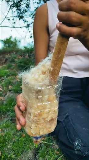 ✅ Survival Water Filter Using Nature’s Cotton 🌿💧#camping #lifehacks #bushcraft