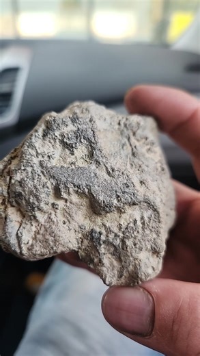 My car rock rides with me everywhere. | Brian Patterson