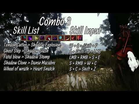 Black Desert - Kunoichi Combos | Succession | Beginner 2022