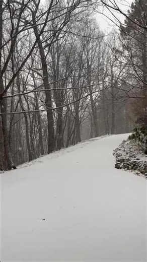 Fresh Snowfall in New Jersey USA ❄️ | Heaven Kisses Earth 🌨️ Winter Magic #shorts
