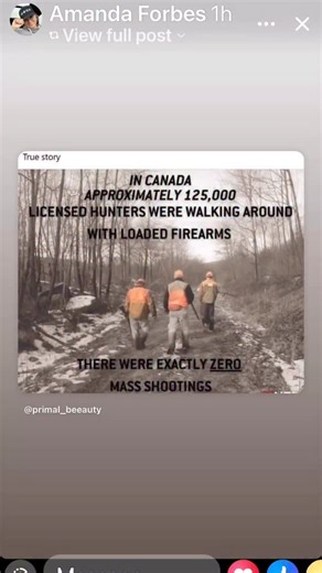 That’s right…Zero Mass Shootings, because it is not the legal gun owners we need to be worried about…. | Jody Ledgerwood