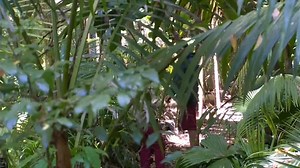 im a celebrity get me out of here 2017 episode 18