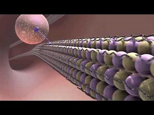 Inside the Brain: Unraveling the Mystery of Alzheimer's Disease [HQ]