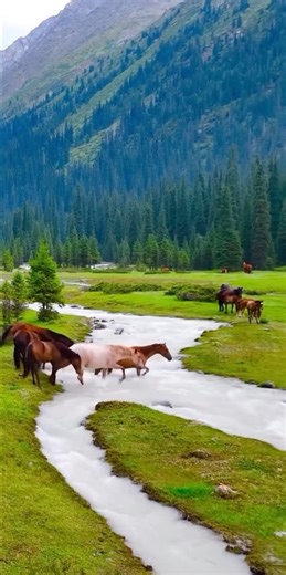 The beautiful & peaceful nature vibe a green look #vibes