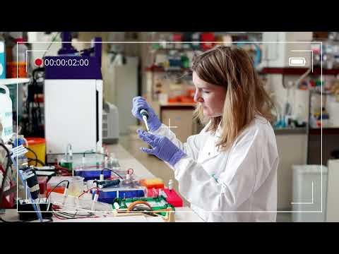 UK Government Pauses Funding for Major Technology and Research Projects