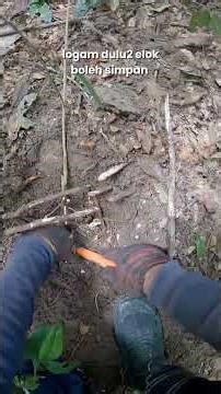 minelab equinox 800 memburu logam relic di tapak perkampungan lama