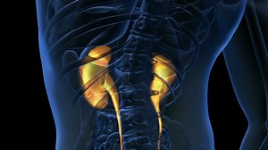 Benefits of bariatric surgery also extend to emotional health