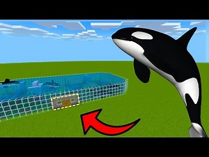 MCPE: How To Live Inside a Killer Whale Farm