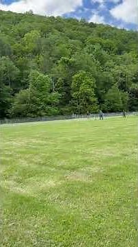 What is Fast CAT ? It is a 100 yard dash for Dogs. AKC and Kennel Club sponsored Sporting Event.