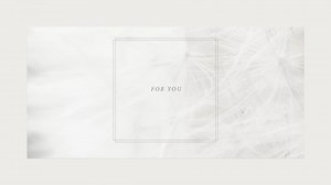 Taylor Swift - Robin (Official Lyric Video)