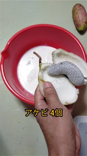 【秋プリン】卵・砂糖なし