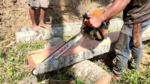 The Surprising Power of Lightning in Coconut Tree Cutting