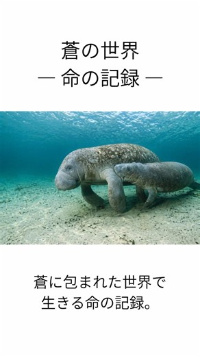A large, serene mammal floating on the river.