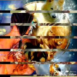 Dreamer video 80 dreamers by one View | Wolves and wolfpuppys